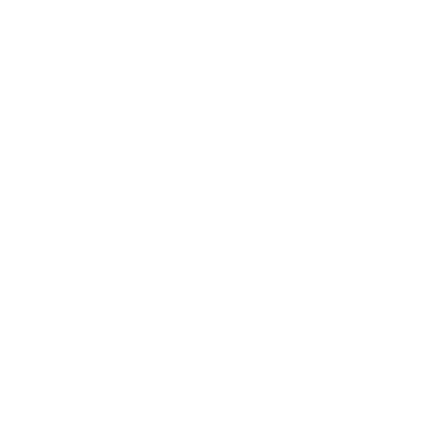 bigotti_logo bigotti logo 3